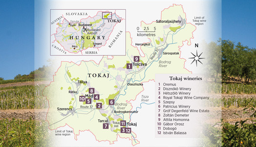 Tokaj winery map
