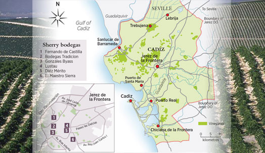 Jerez de la Frontera winery map