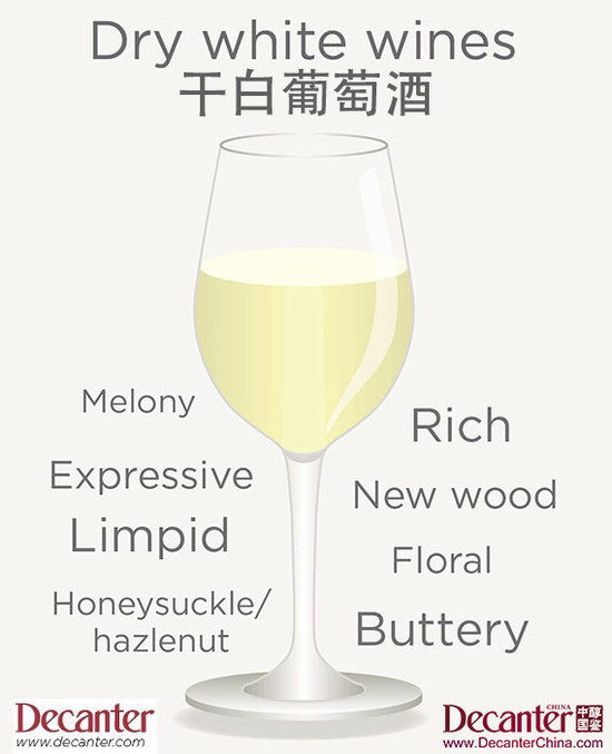 Hvis egoisme Ged How to read tasting notes (dry white wines) | Decanter China 醇鉴中国