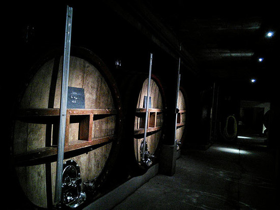 Image: oak barrels in Champagne, credit Andrew Jefford