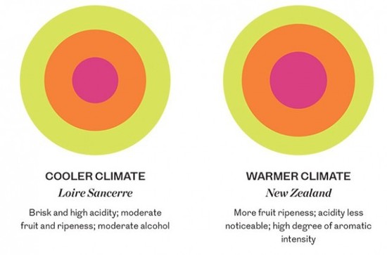 Image: The diagram demonstrates how climates affects the flavour of wine. Credit: Berry Brothers & Rudd; Exploring & Tasting Wine 