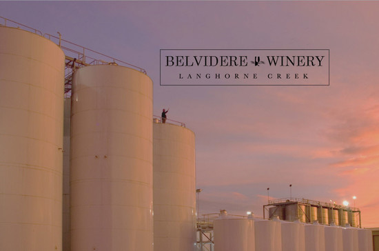 Image credit Belvidere Winery, Langhorne Creek