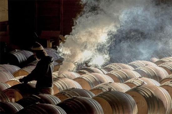 Image: Robert Holmes’ winning shot in the Errazuriz wine photographer of the year 2016 competition. Maysara winery, Oregon.