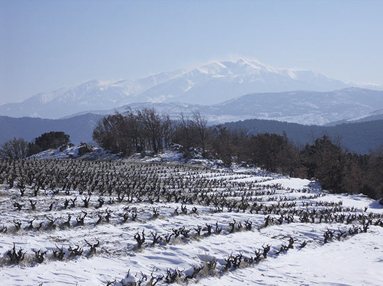 Image: February 2015: Le Soula, Roussillon