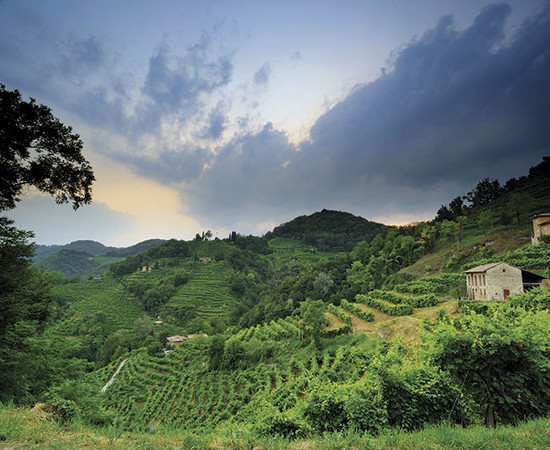 图片：法拉酒庄（La Farra），维纳图（Veneto）