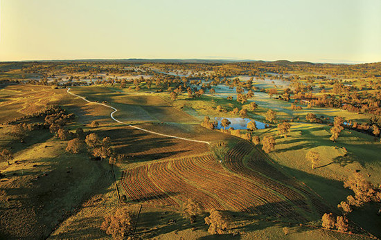 普西河谷酒庄（Pewsey Vale），伊顿谷（Eden Valley），南澳大利亚。 图片来源：Decanter杂志2015年6月刊