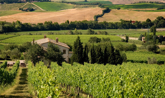 Image: Brunello di Montalcino, Italy. Credit: Decanter