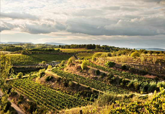 Image: Gramona vineyards, Cava 