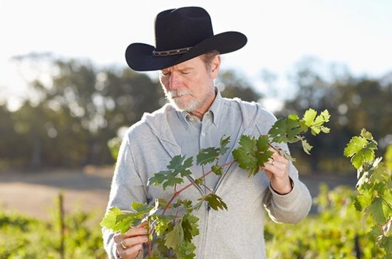 Joel Peterson, Ravenswood Winery