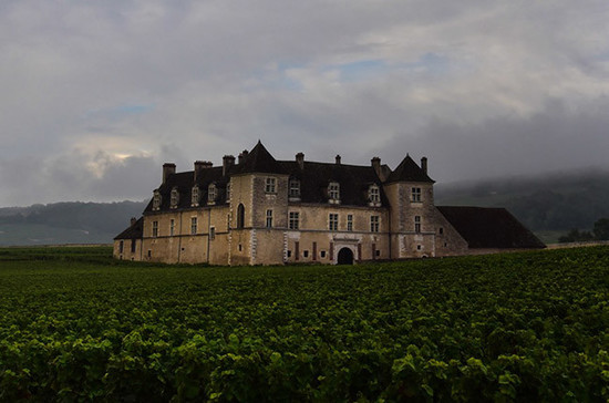 图片：10月初，伏旧产区（Clos Vougeot）阴云密布。图片拍摄：Gretchen Greer