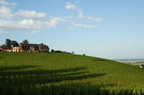 Image: Clos Windsbuhl by Julien Boulard