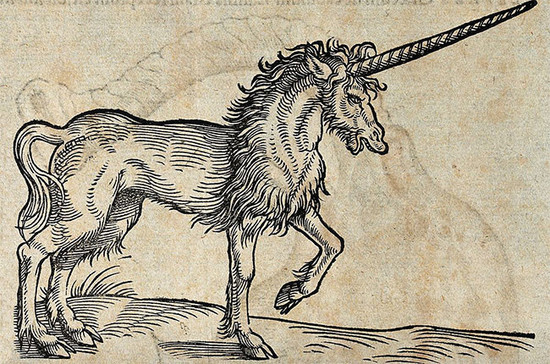 Watch out for ‘unicorn’ wines that never existed. Credit: Conrad Gessner / Wellcome Images /Wiki Commons