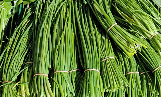 Image: Garlic stems