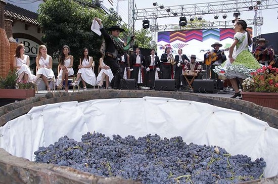 Age-old traditions at Colchagua’s Fiesta de la Vendimia. Credit: colchaguavalley.cl 