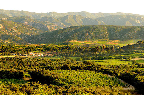 Mas de Daumas Gassac vineyards in Languedoc.	Credit: Daumas Gassac