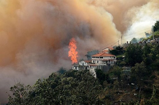 马德拉岛的森林大火 © JOANA SOUSA/AFP/Getty Images