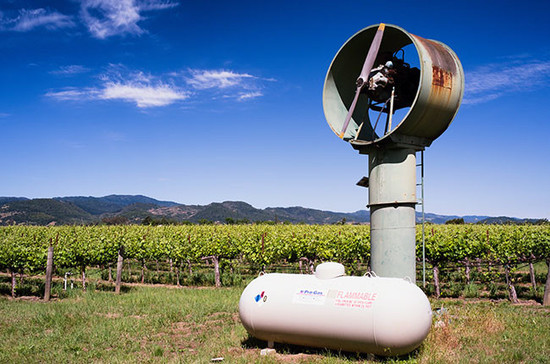 A wind machine waits to defend against frost in Calistoga, Napa Valley. Credit: George Oze / Alamy Stock Photo.