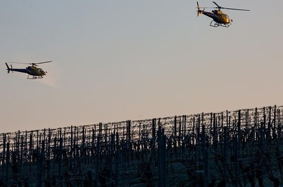 Two helicopters fly above vines, effectively whirling cold and warm air in order to raise the temperature in the vineyard and preventing late frost on a vineyard in Obersulm, Germany. Credit: Christoph Schmidt/dpa/Alamy Live News