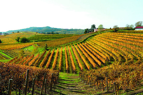 Credit: Decanter