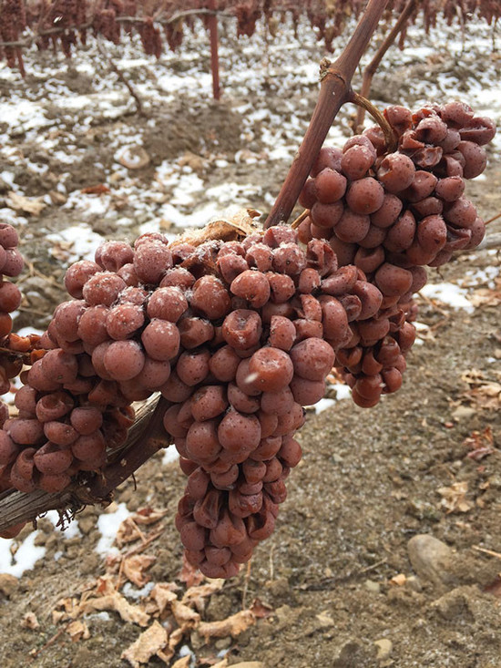 Image: Huanren ice wine region, Northeast China. Credit: Zhan Jicheng