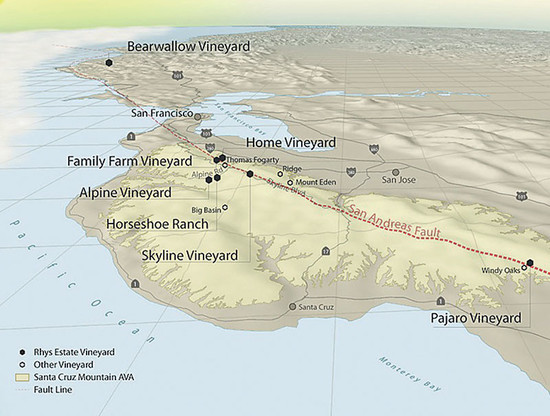 Rhys Vineyards has plots either side of the San Andreas Fault, some just 300m apart, which have different soils and taste profiles