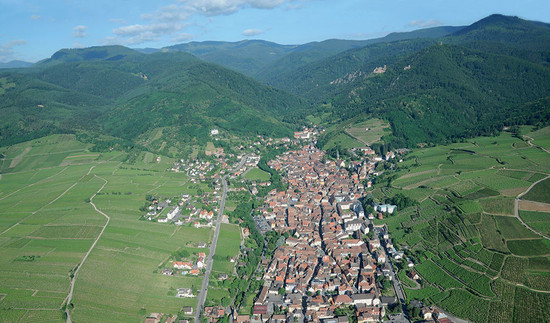 Ribeauvillé in Alsace where Trimbach Rieslings, including its wine from the Geisberg grand cru, are made around the fault line