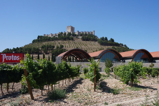 图片版权：Bodegas Protos