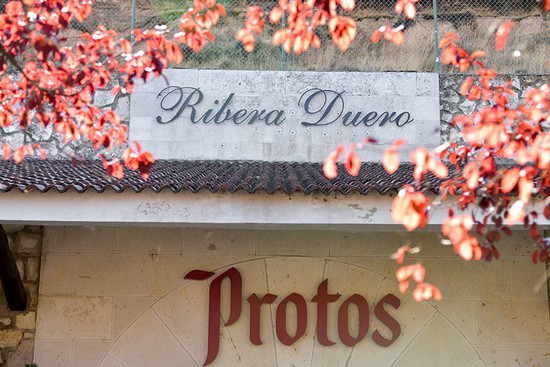 图片版权：Bodegas Protos