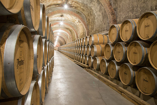 图片版权:Bodegas Protos