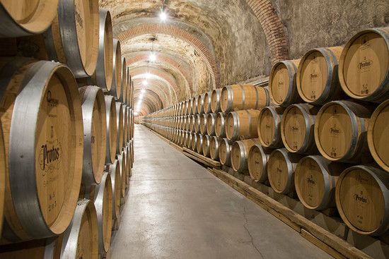 Image credit: Bodegas Protos