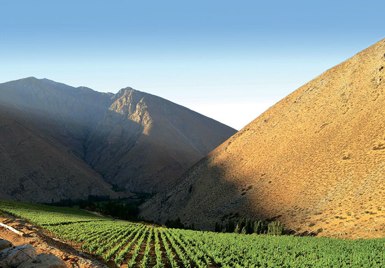 图片：在海拔2200米，埃尔基谷的酒庄Viñedos de Alcohuaz是智利海拔最高的商业葡萄园。图片版权：Decanter杂志