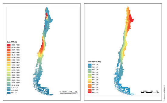 Above: predicted rain decrease (left) and average temperature increase (right) in Chile by 2050. Source: AGRiMED