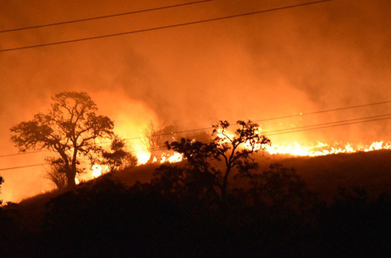 Wild fires, where 11 people have been killed so far, hit California Wine Country