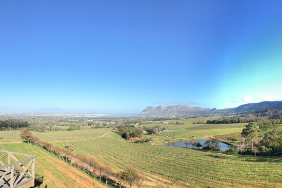 Image: South African vineyards, credit Julien Boulard