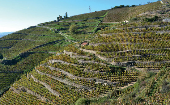 L’Hermite, Hermitage, Rhône