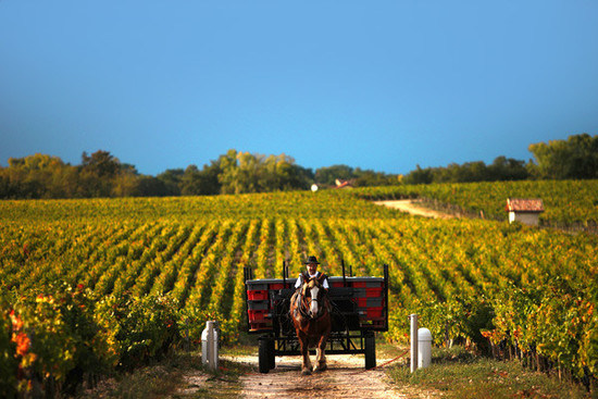 Image: Pontet Canet © Decanter