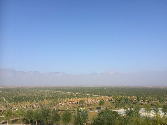 图片:从美贺庄园远望贺兰山,图片版权:Decanter