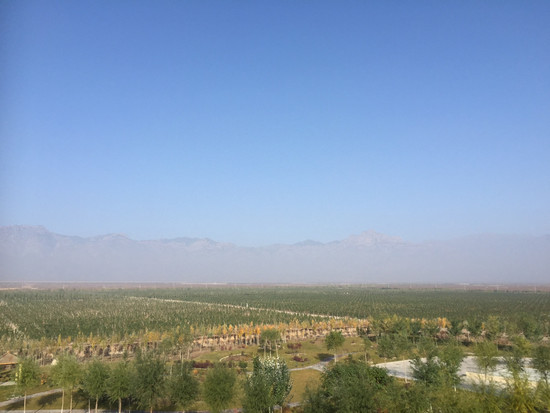 Image: Chateau Mihope, Ningxia. Credit: Decanter