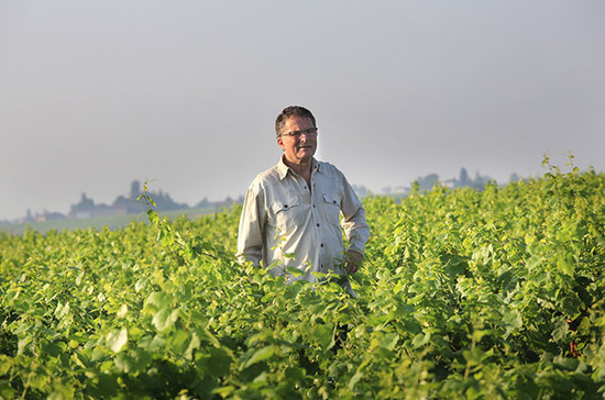 Dominique Piron, president of Inter Beaujolais. Credit: Andrew Jefford. 