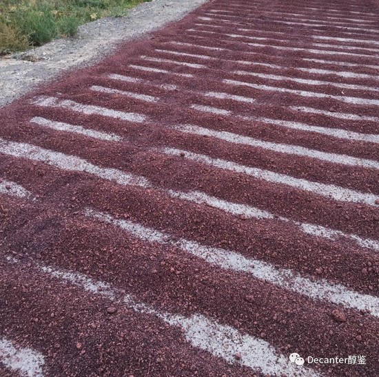 Image: The Shanshan region is finishing the harvest. Credit: LI Demei