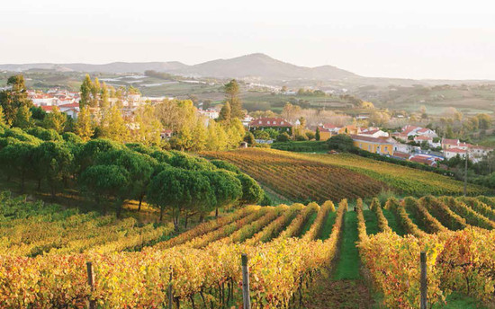 The estate of Quinta de Sant’Ana