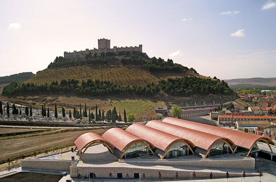 Bodegas Protos