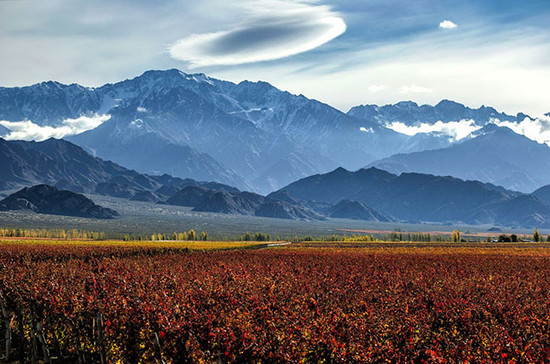 图片：乌格河谷，来源：阿根廷葡萄酒协会