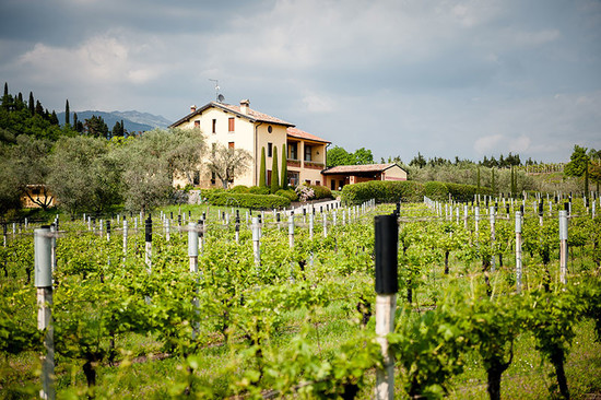 Image: Tenuta Valleselle, one of the family estates, located in Bardolino. Credit: Tinazzi