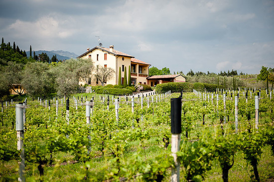 Tenuta Valleselle in the Veneto