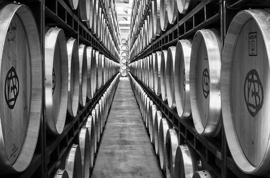 Bodegas Altanza barrels cave