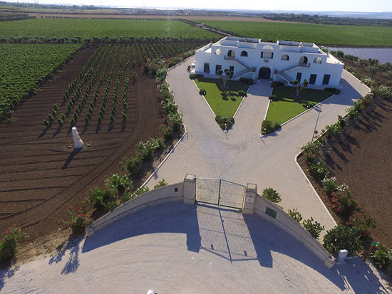 Sprængstoffer lindring til eksil The commitment of Tinazzi in Puglia | Decanter China 醇鉴中国