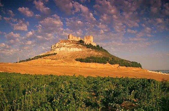 Castillo de Penafiel, Ribera de Duero, Castilla y Léon. Credit: Bon Appetit / Alamy Stock Photo