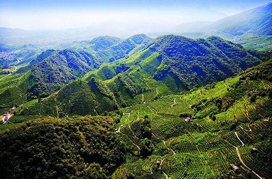 图片:Graciano Merotto葡萄园,图片拍摄:Patrick Caseley