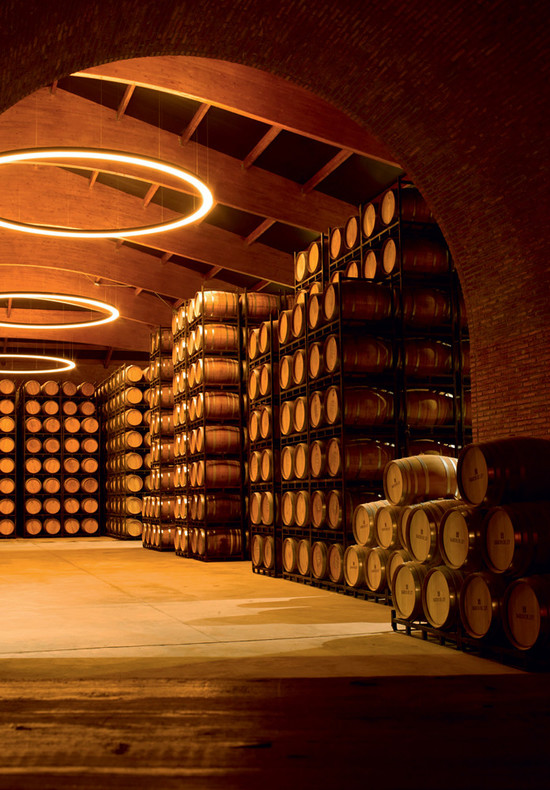 Baron de Ley's new cellar room